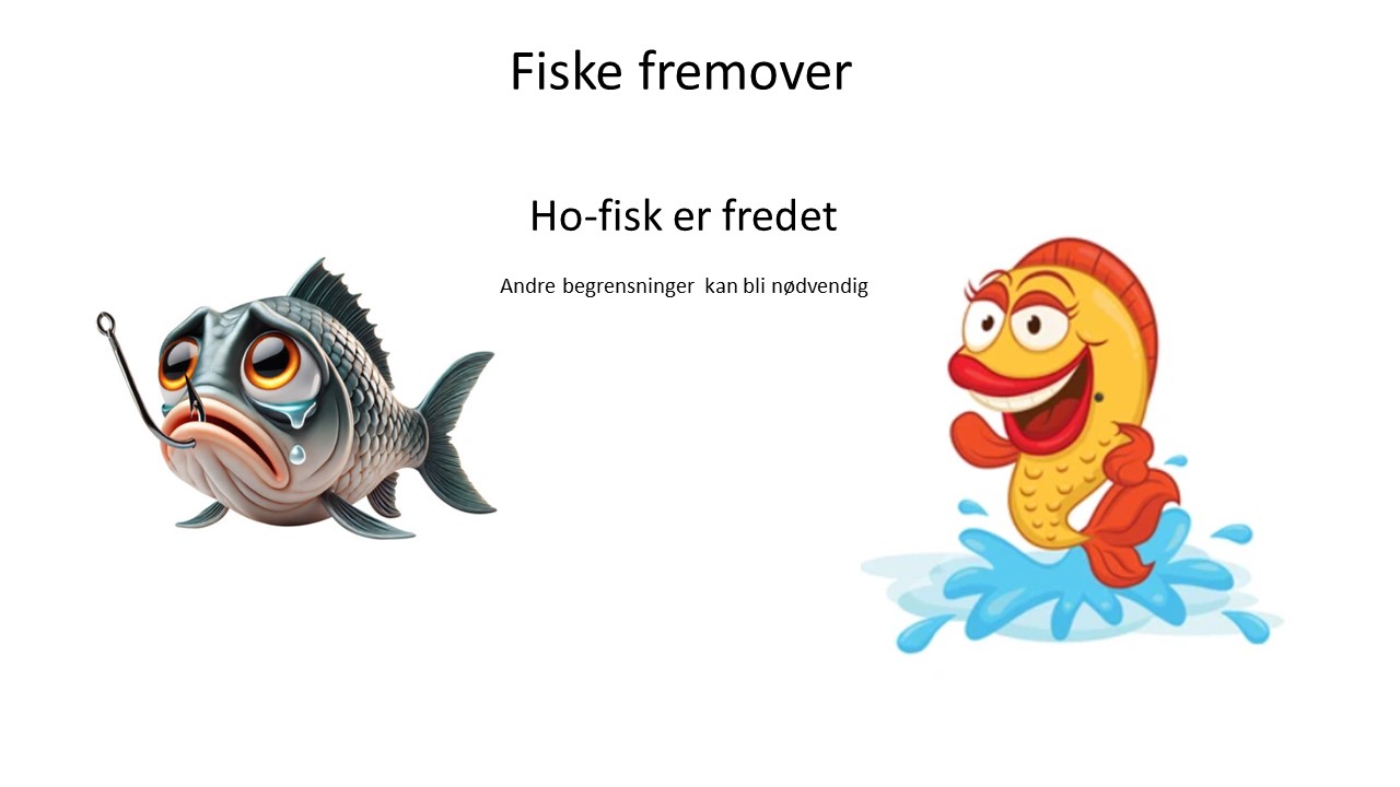 Artikkelbilde til artikkelen Fiske fremover - 2025