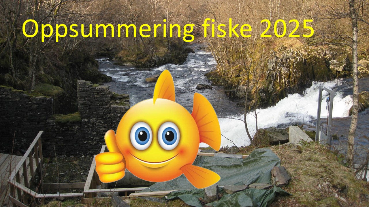 Artikkelbilde til artikkelen Oppsummering fiske 2025